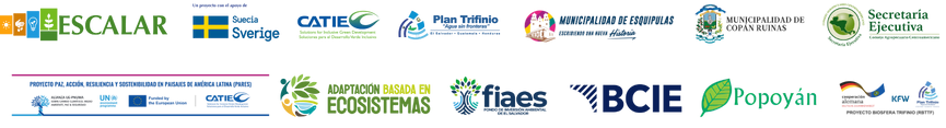 Mesa de logos_ACT